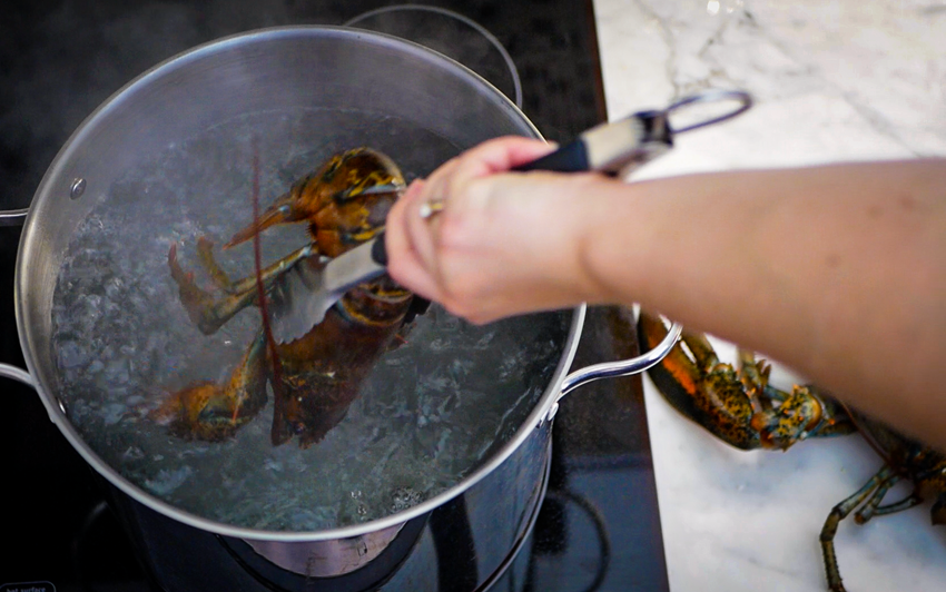 RecipeBlog - Charcoal Grilled Lobster - Boil 5 min