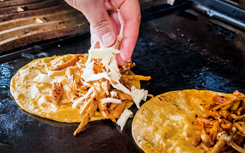 Recipe Blog - Vegan Birria Tacos - Grill2