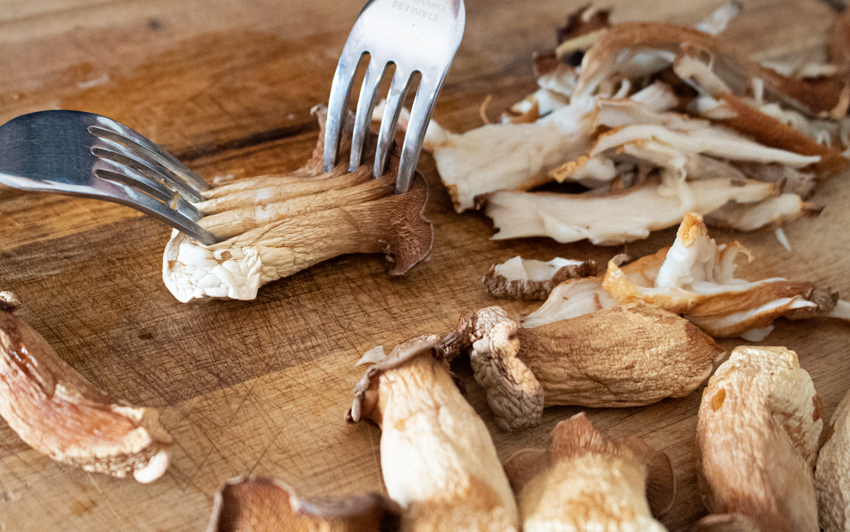 Recipe Blog - Vegan Mushroom Pulled Pork - Shred