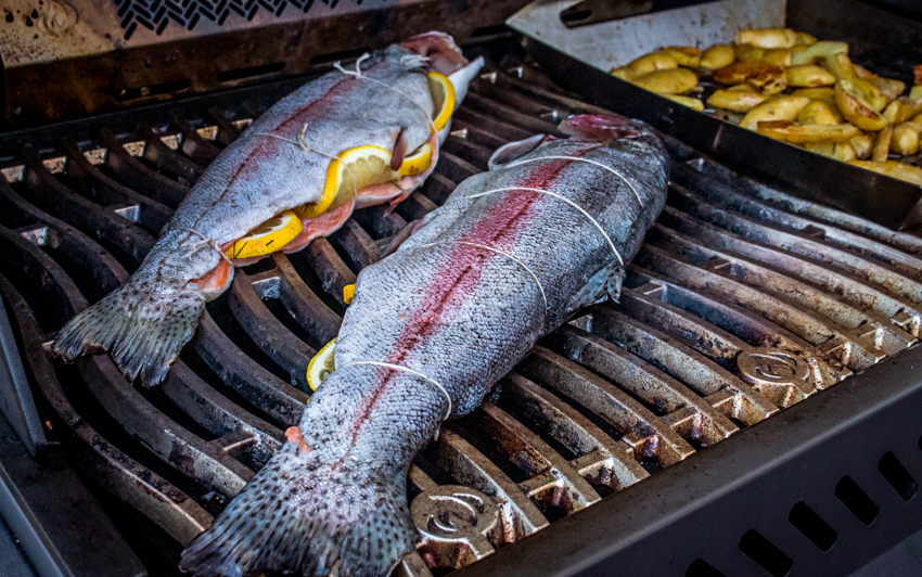 Recipe Blog - Grilled Trout - grill1