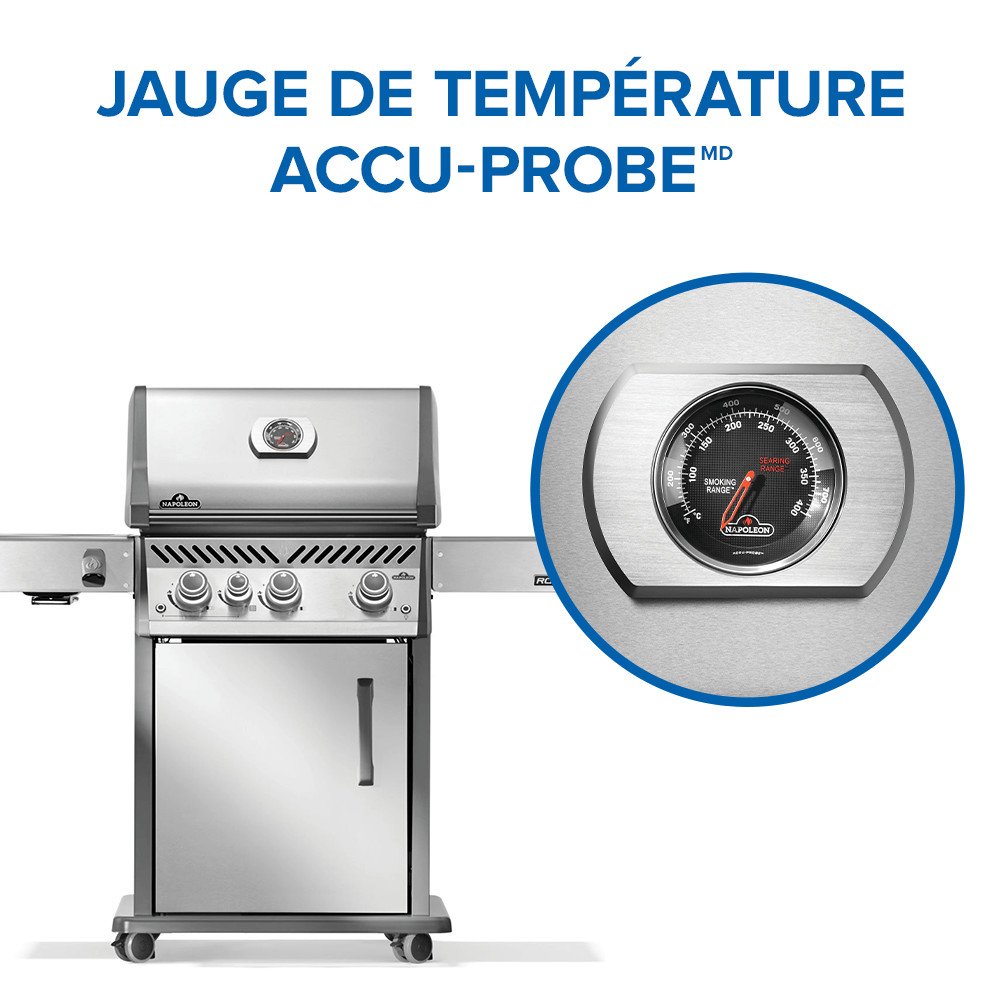 Gallery Image 14 - Rogue® PRO 425 SIB