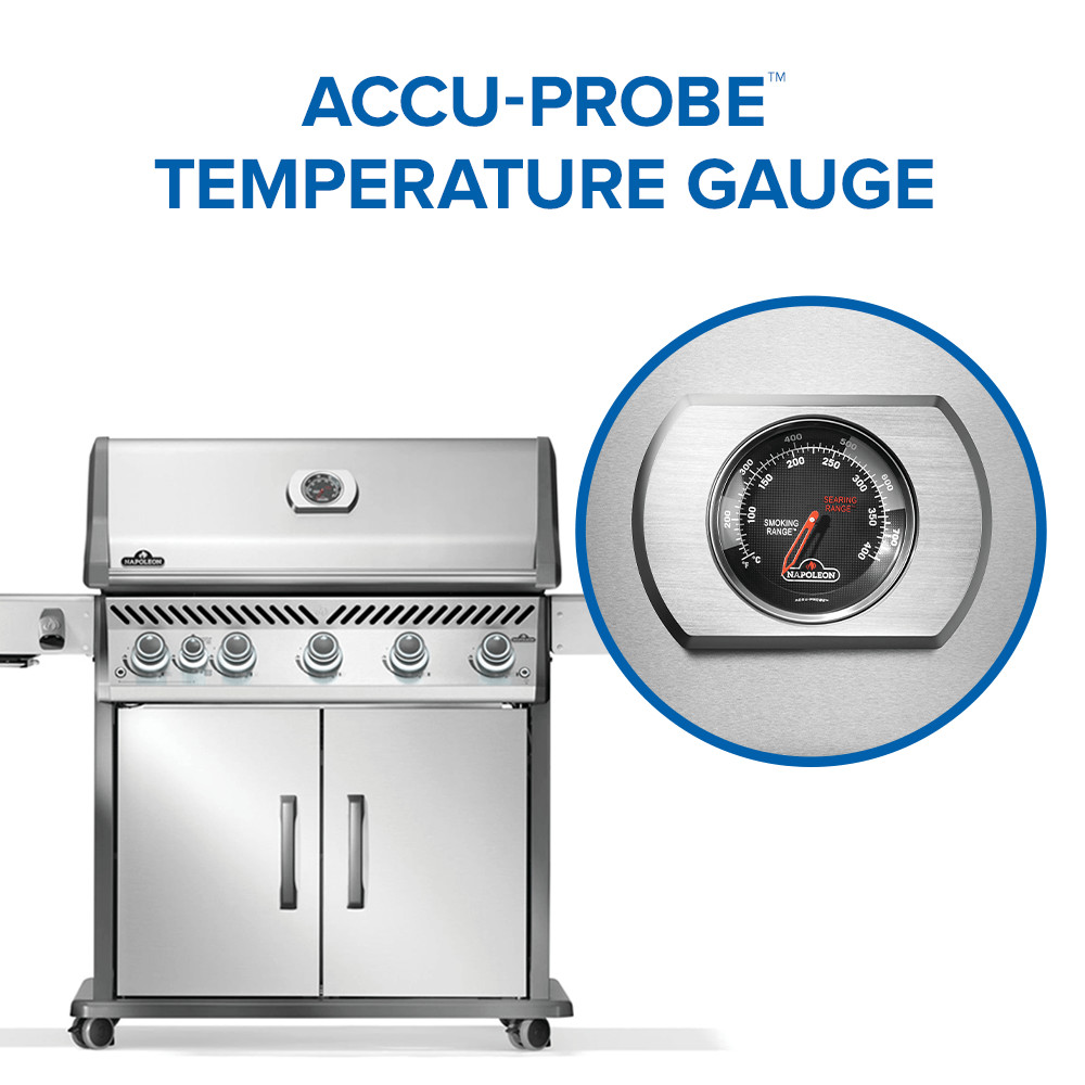 Gallery Image 14 - Rogue® PRO 625 SIB