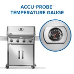 Gallery Image 12 - Rogue® 525