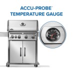 Gallery Image 8 - Rogue® 525 SB