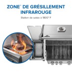 Gallery Image 11 - Rogue® PRO 425 SIB