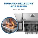 Gallery Image 10 - Rogue® PRO 425 SIB