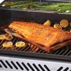 Gallery Image 19 - Rogue® PRO 625 SIB