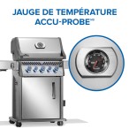 Gallery Image 13 - Rogue® PRO-S 425 RSIB