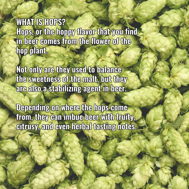 What is Hops