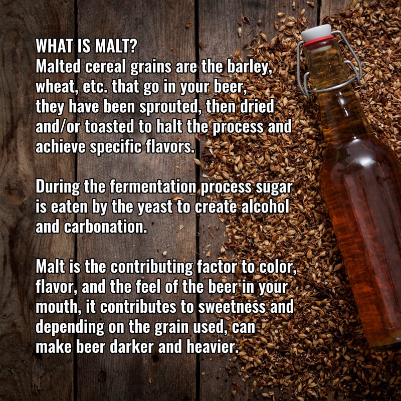 What is Malt