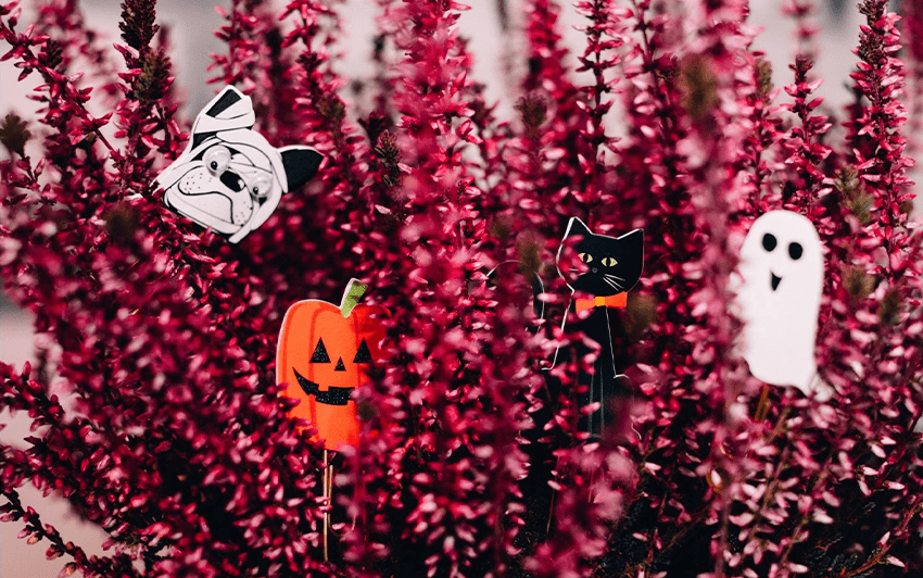 fireplacesBlog-Halloween-FallMantleDecor