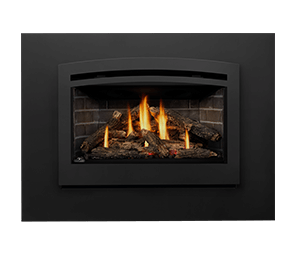 Rosedale Series - Gas Insert